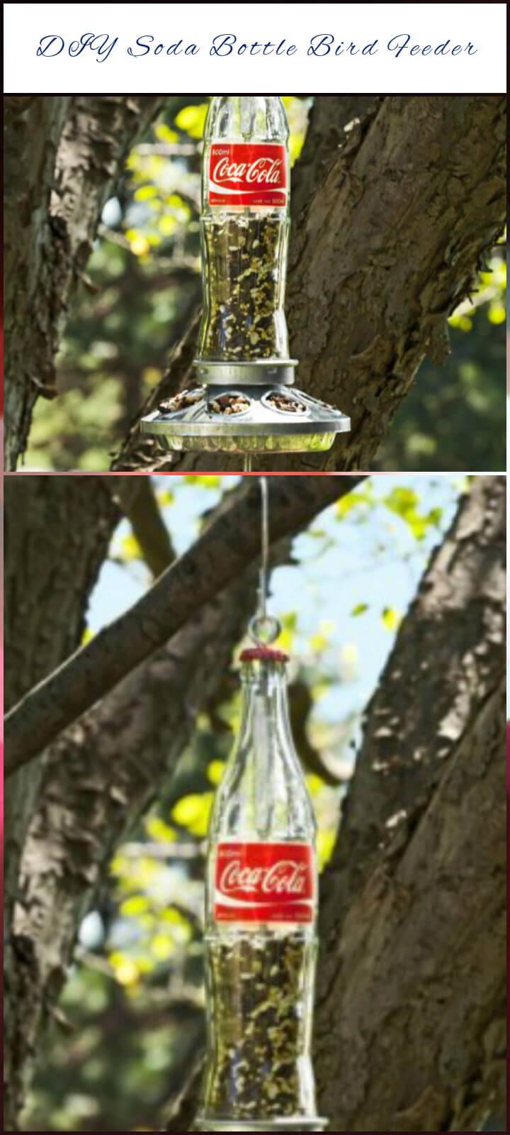 repurposed soda bottle bird feeder
